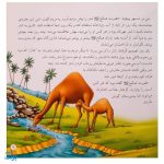 کتاب حیوانات در قرآن کریم (ده داستان زیبا از حیوانات ذکر شده در قرآن کریم) جلد سخت