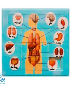 پازل کشویی جدول هوش آناتومی اعضای بدن انسان رنگ پسرانه مدل کفشدوزک (سایز ۱۱*۱۱ cm)