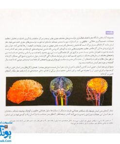 کتاب مغز من و رنگ آمیزی آرامش در باغ پروانه ها مهرسا