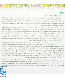 کتاب مغز من و رنگ آمیزی تقویت خلاقیت در کارگاه طبیعت