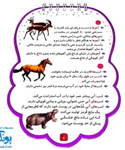 کتابک پیک دنیای حیوانات ۱ (دانستنی هایی از حیوانات)