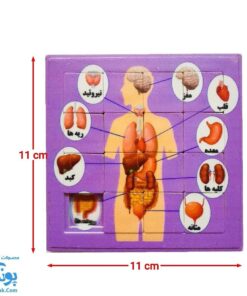 پازل کشویی جدول هوش آناتومی اعضای بدن انسان رنگ دخترانه مدل کفشدوزک