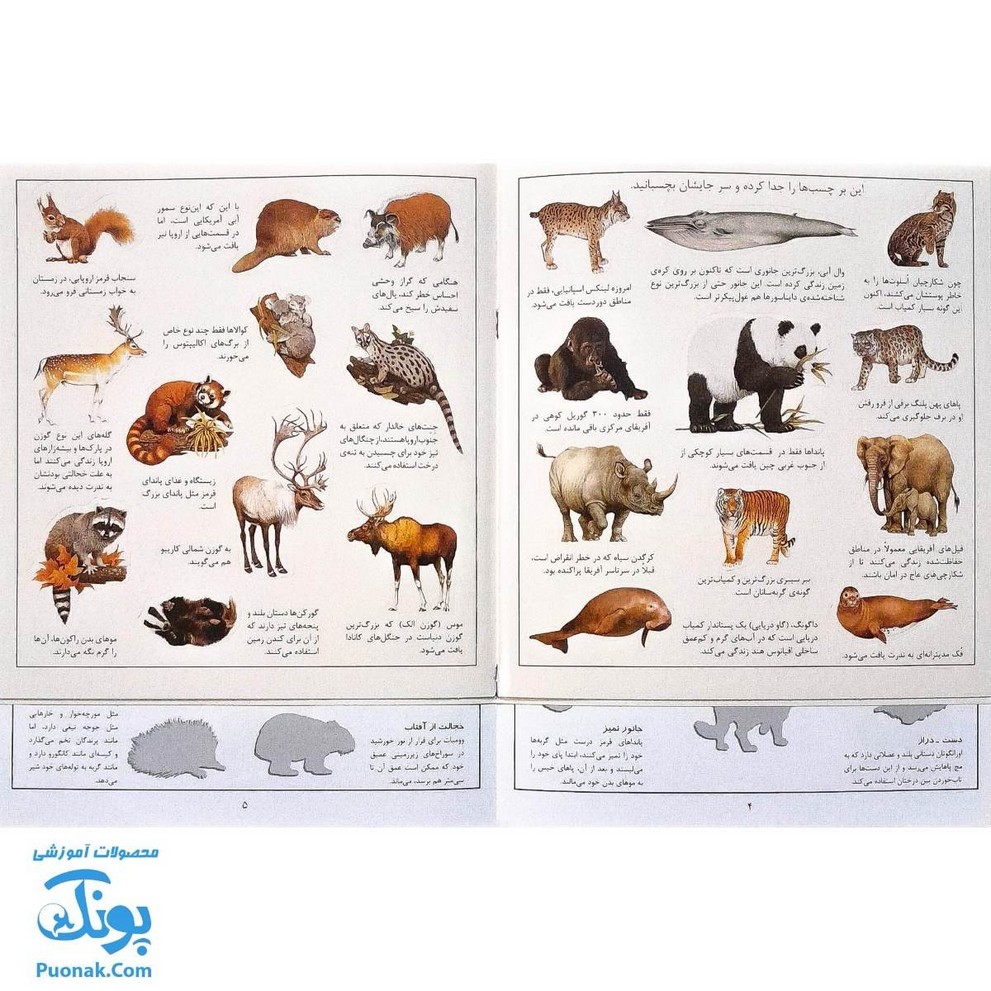 کتاب جانوران بچسبان و بیاموز ۱ به همراه ۶۰ برچسب