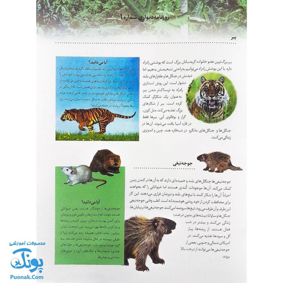 کتاب حیوانات وحشی بچسبان و بیاموز ۱۷ به همراه ۶۰ برچسب